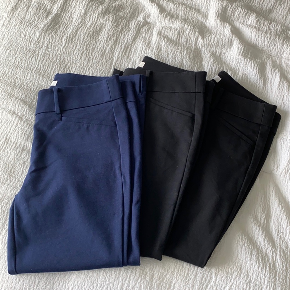 Loft pants